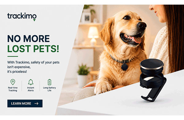 10-Million-Pets-Are-Reported-Missing-Across-Canada-&-the-USA-Each-Year